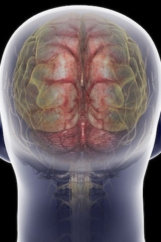 ��̾������ҽѧ3D������ͼ ����ͼƬ