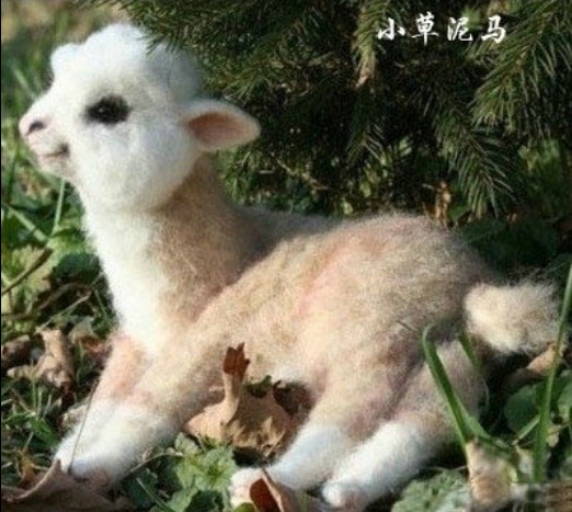 ����ոճ���ʱ������� ������𣿣�ͼ��