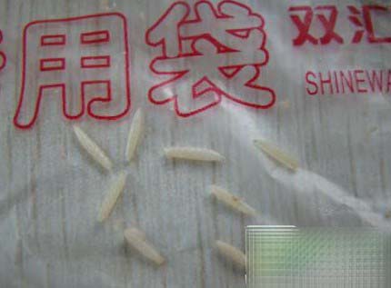 ˫������������ ˫�����������ٶȳ���