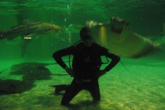 ��һ�۾�Ц�������ͼ ��ЦͼƬ