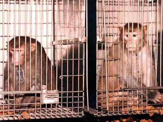 ���أ��Ҳ��̶õĶ���ʵ�����Ƭ��ͼ��