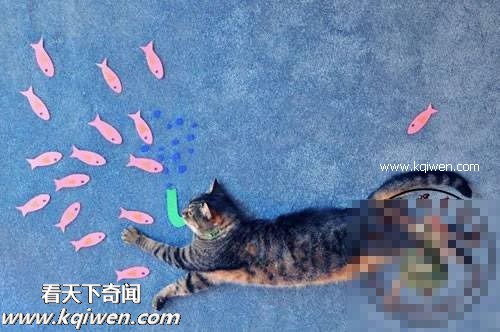 ��Ϊ���ޣ��ҵ�ѹ��Ҳ�ܴ�