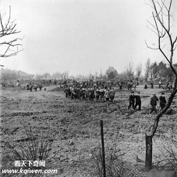 �����ɴ⼯��Ӫ��״��������ź�����ʬ��(��ͼ)